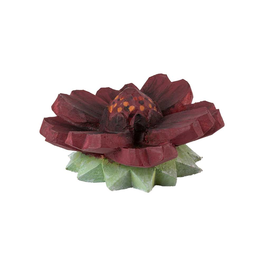 Knopp – Chokladblomma - 3