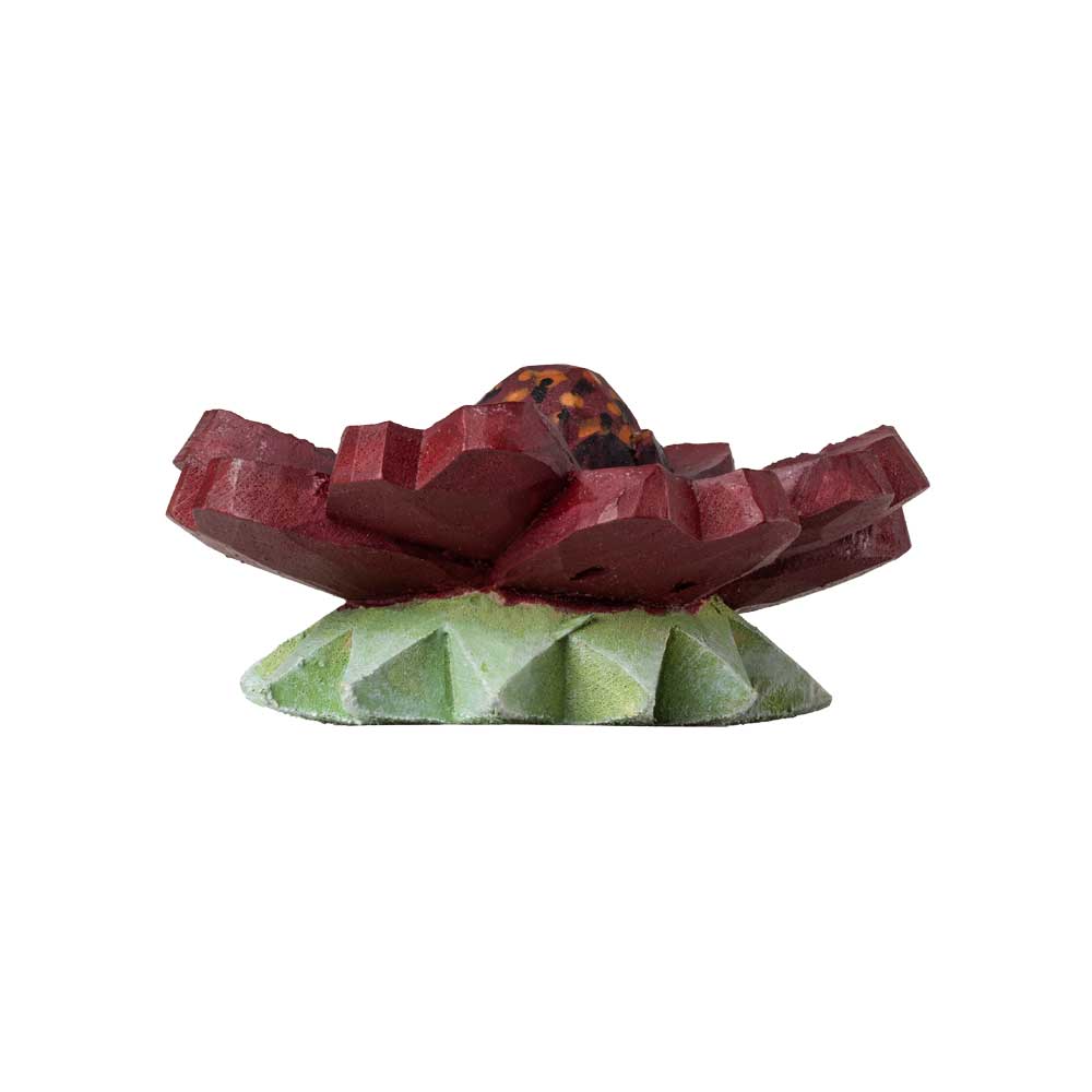 Knopp – Chokladblomma - 6