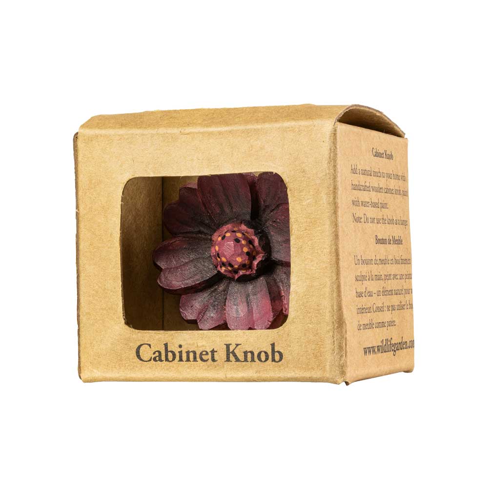 Knopp – Chokladblomma - 7