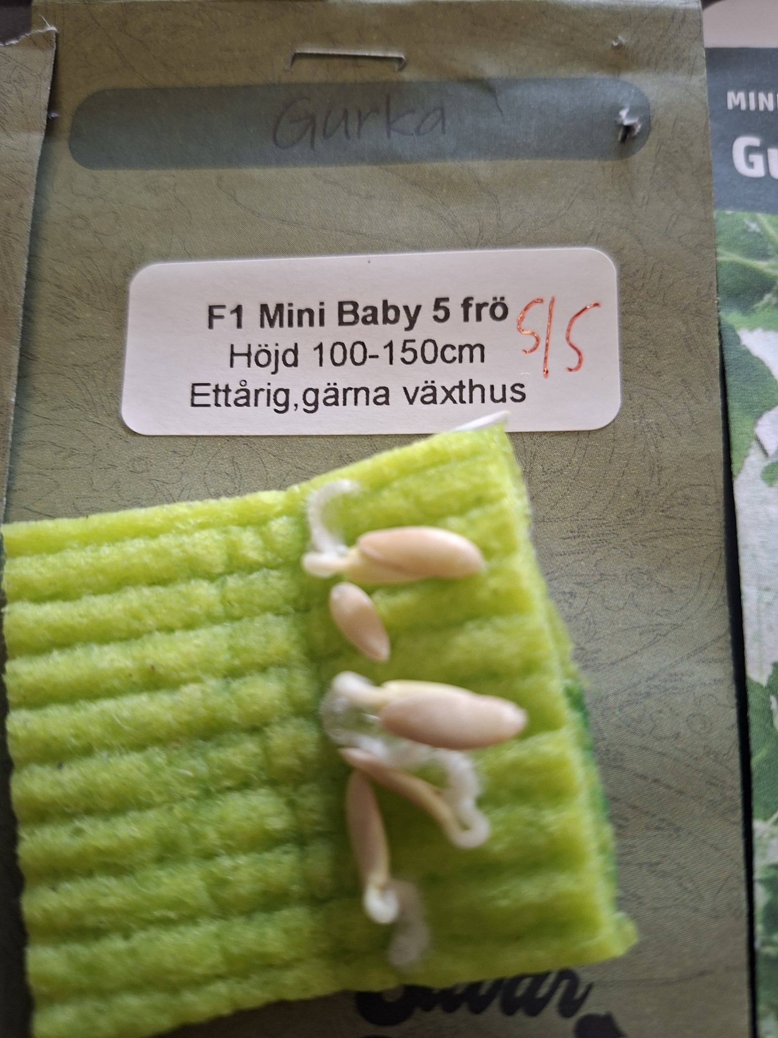 Gurka  F1  Baby (mini) 5 frö - 2