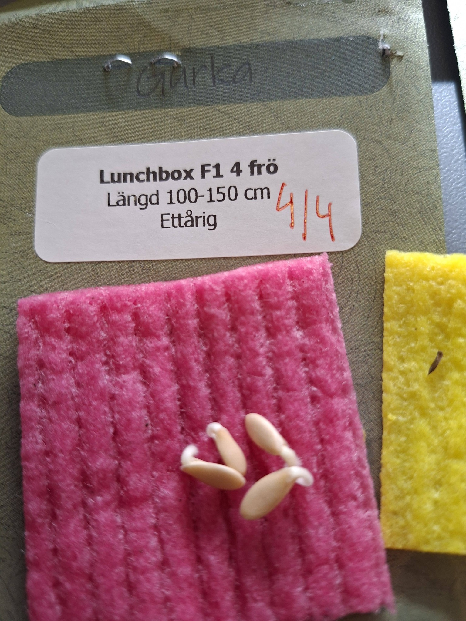 Gurka F1 (mini) Lunchbox  4 frö - 2