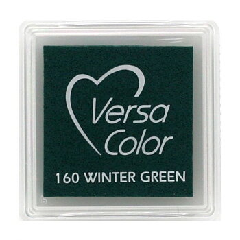 Winter Green - VersaColor