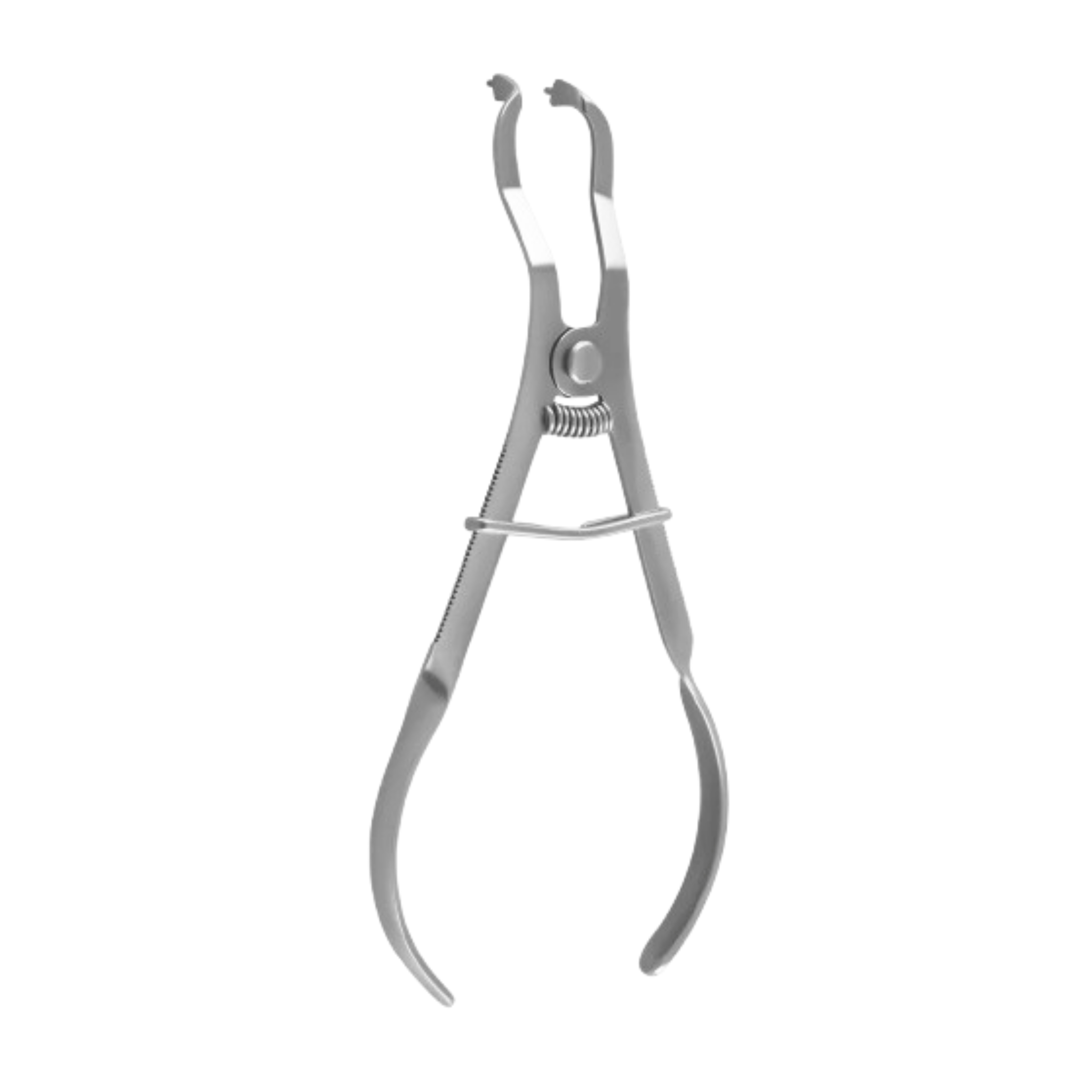 Ivory Rubber Dam Clamp Forceps, 17cm