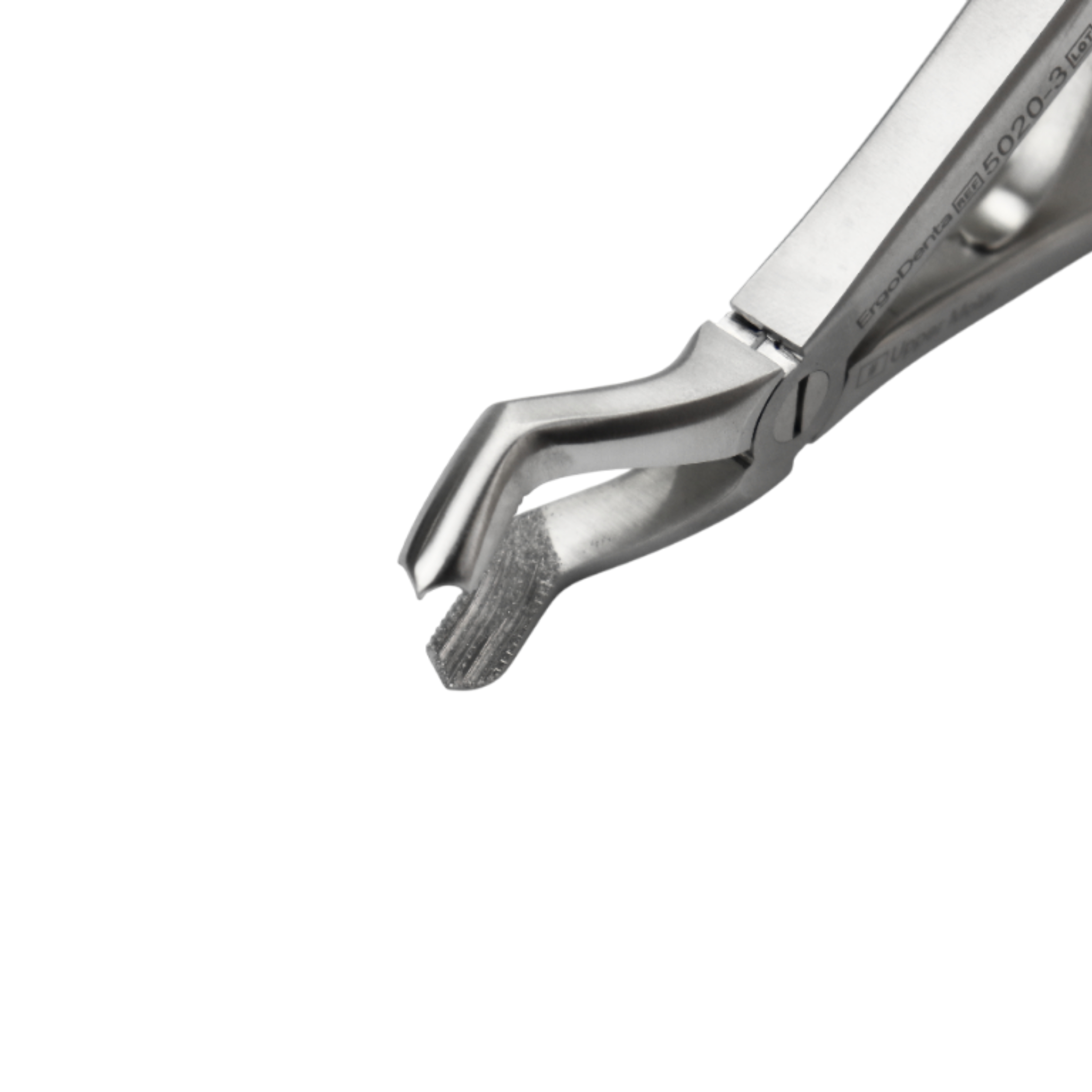 Fig. 3 Upper Molar - 2