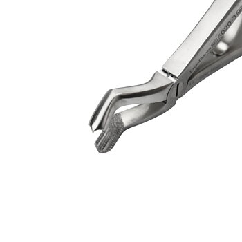 Fig. 3 Upper Molar