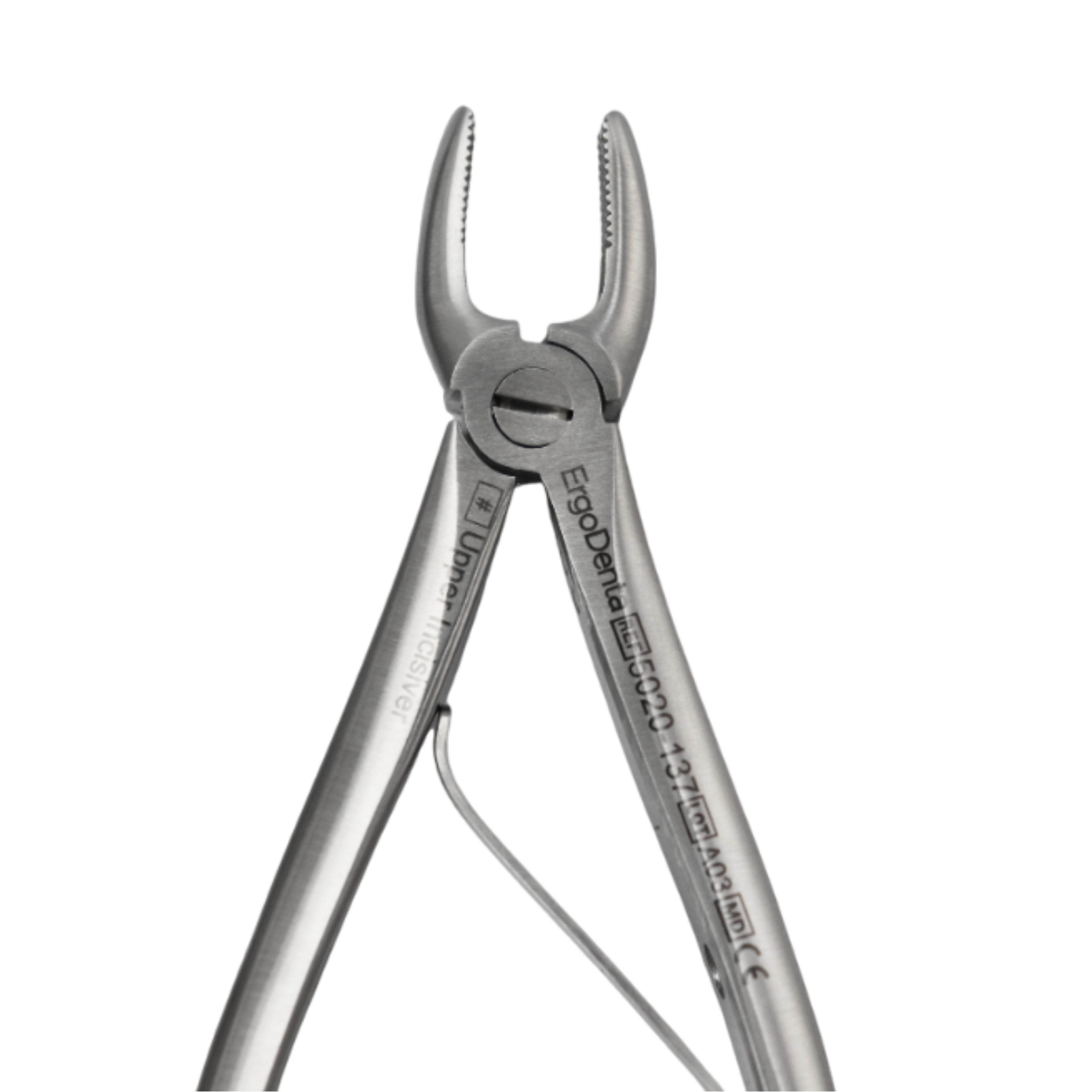 Fig. 137, Upper Incisor - 4