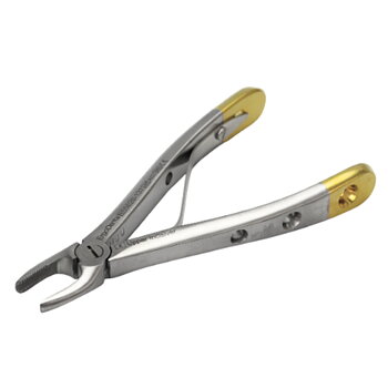 Fig. 137, Upper Incisor