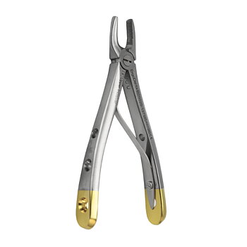 Fig. 137, Upper Incisor