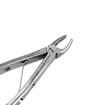 Fig. 139, Upper Pre Molar