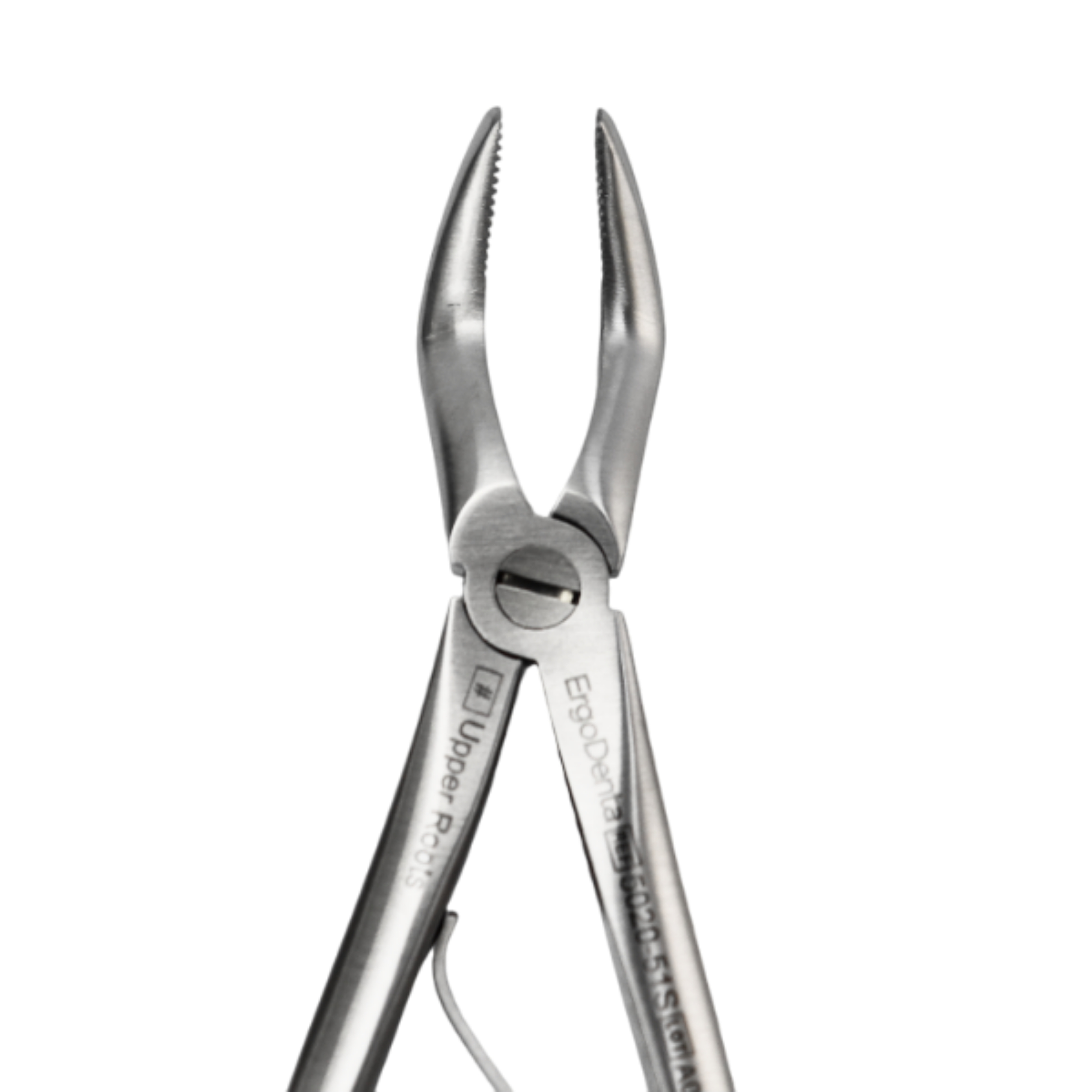 Fig. 51S, Upper Roots - 3