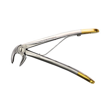 Fig. 6, Lower Molar