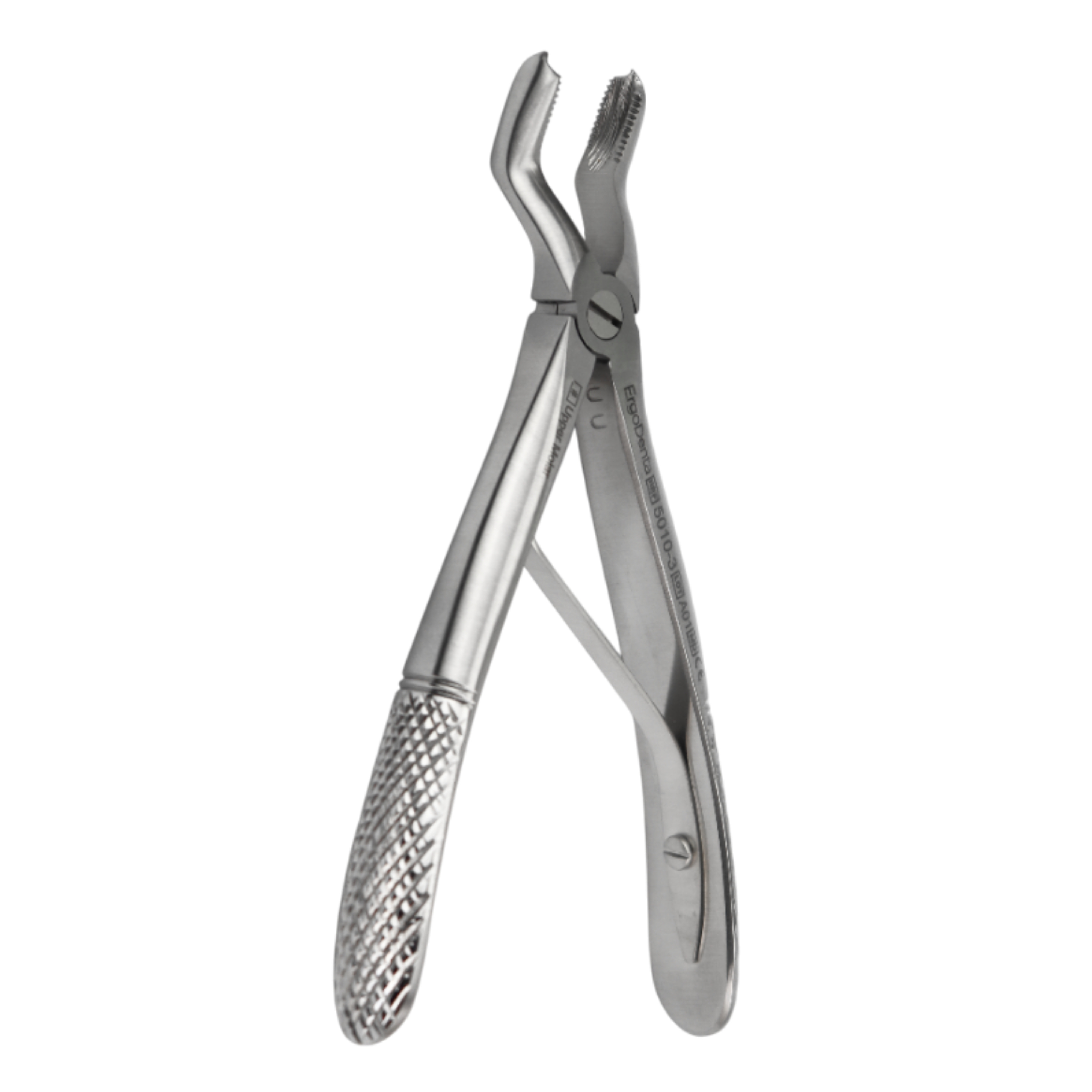 Fig. 3 Upper Molar