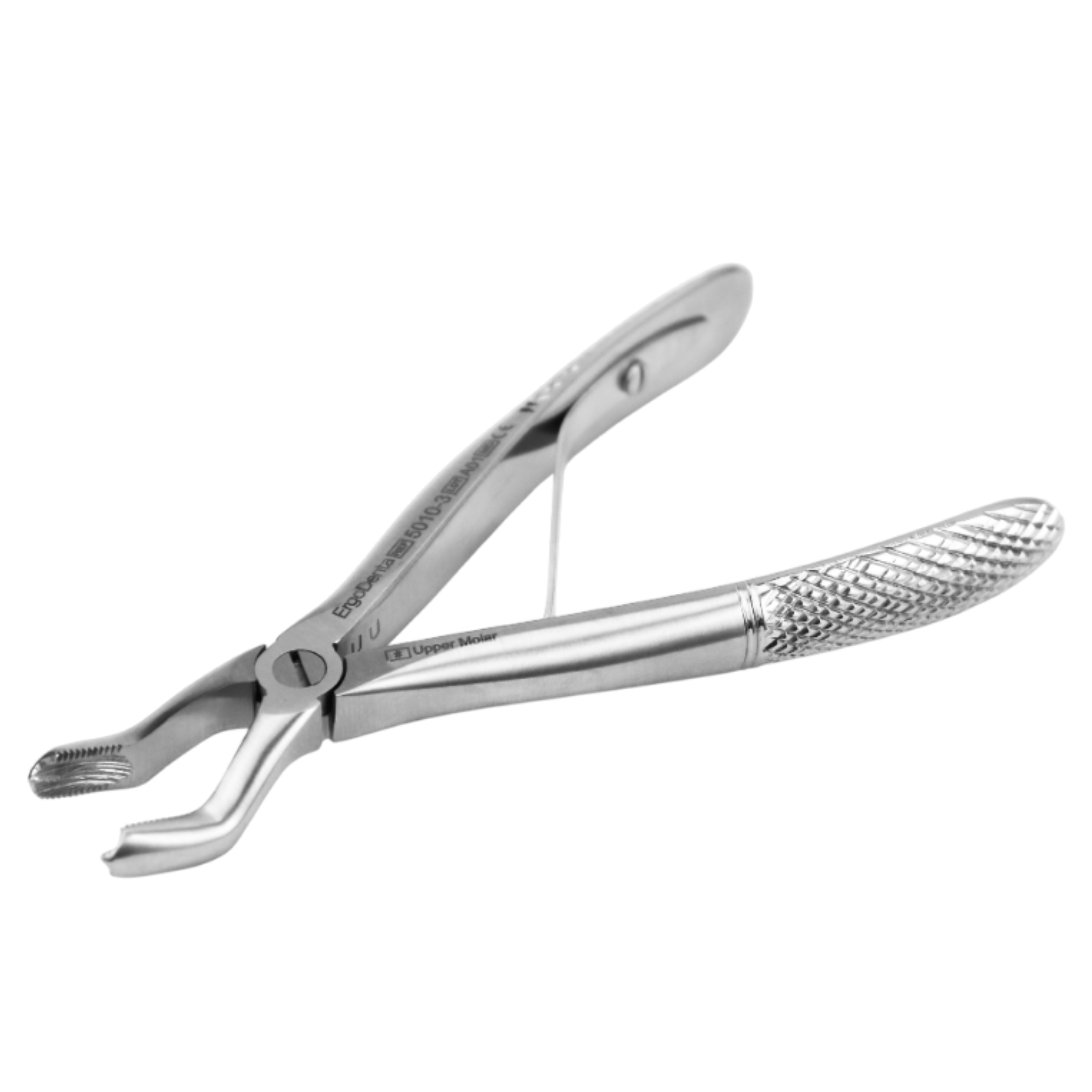 Fig. 3 Upper Molar - 2