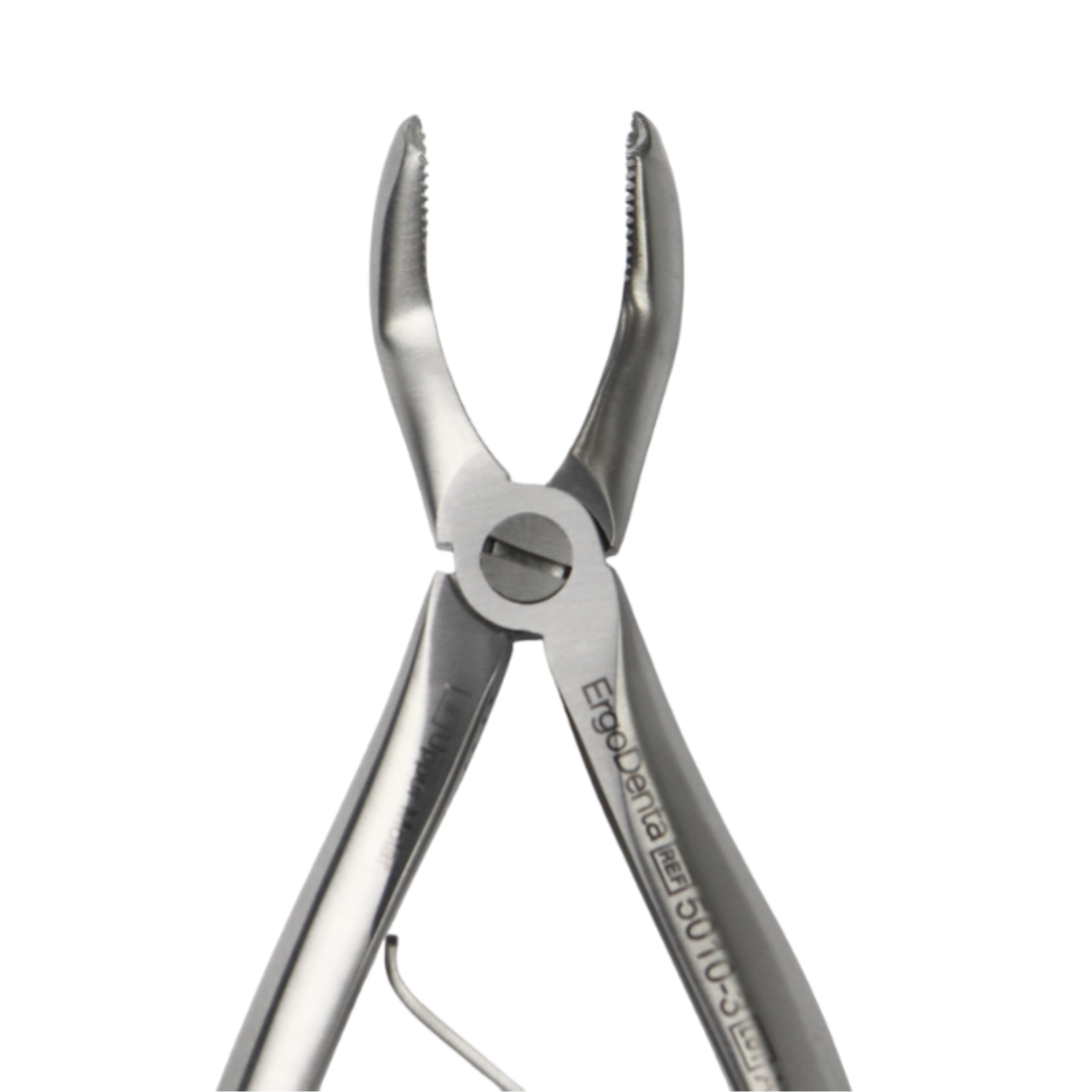 Fig. 3 Upper Molar - 4