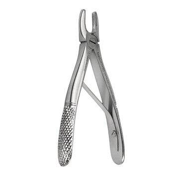 Fig. 137, Upper Incisor