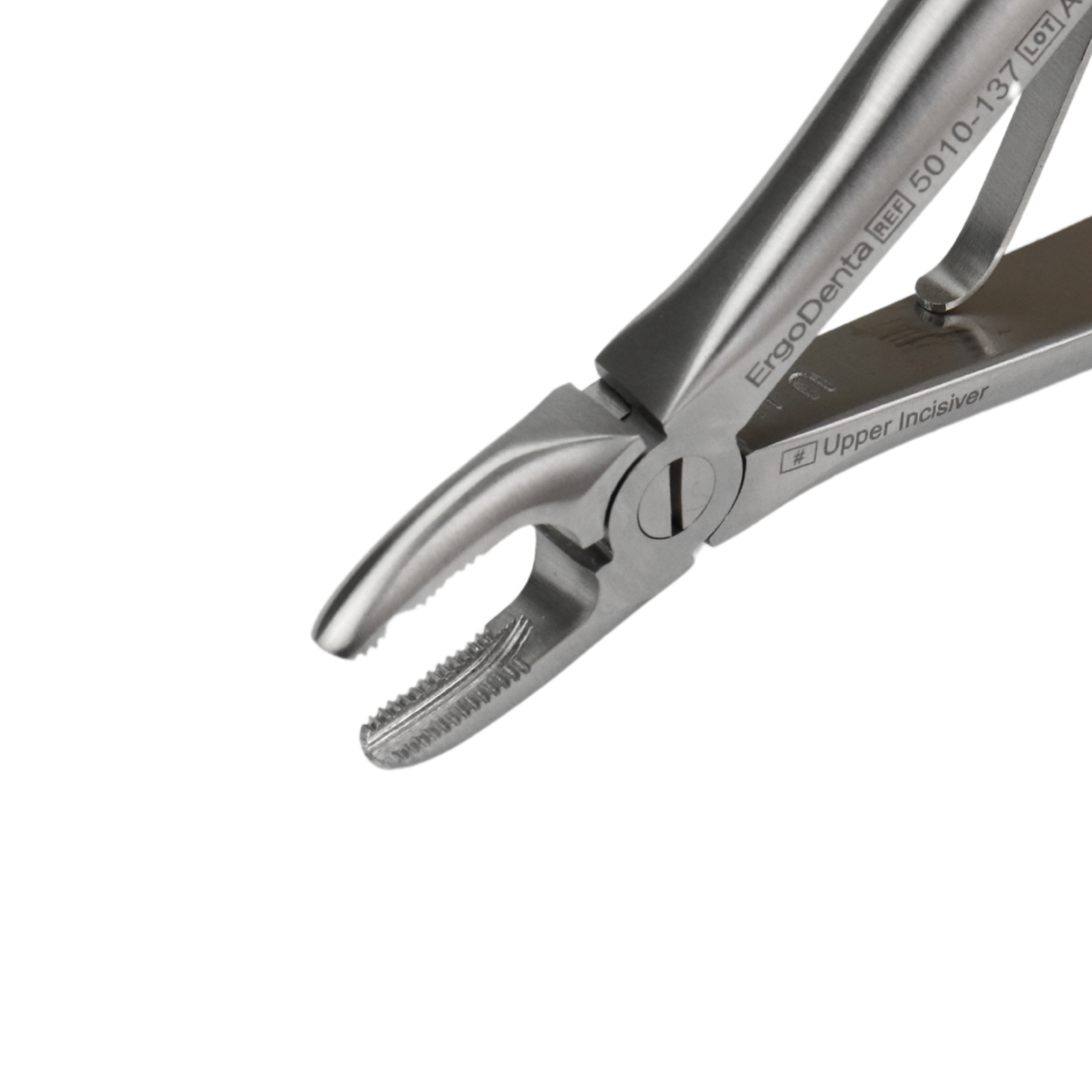 Fig. 137, Upper Incisor - 4