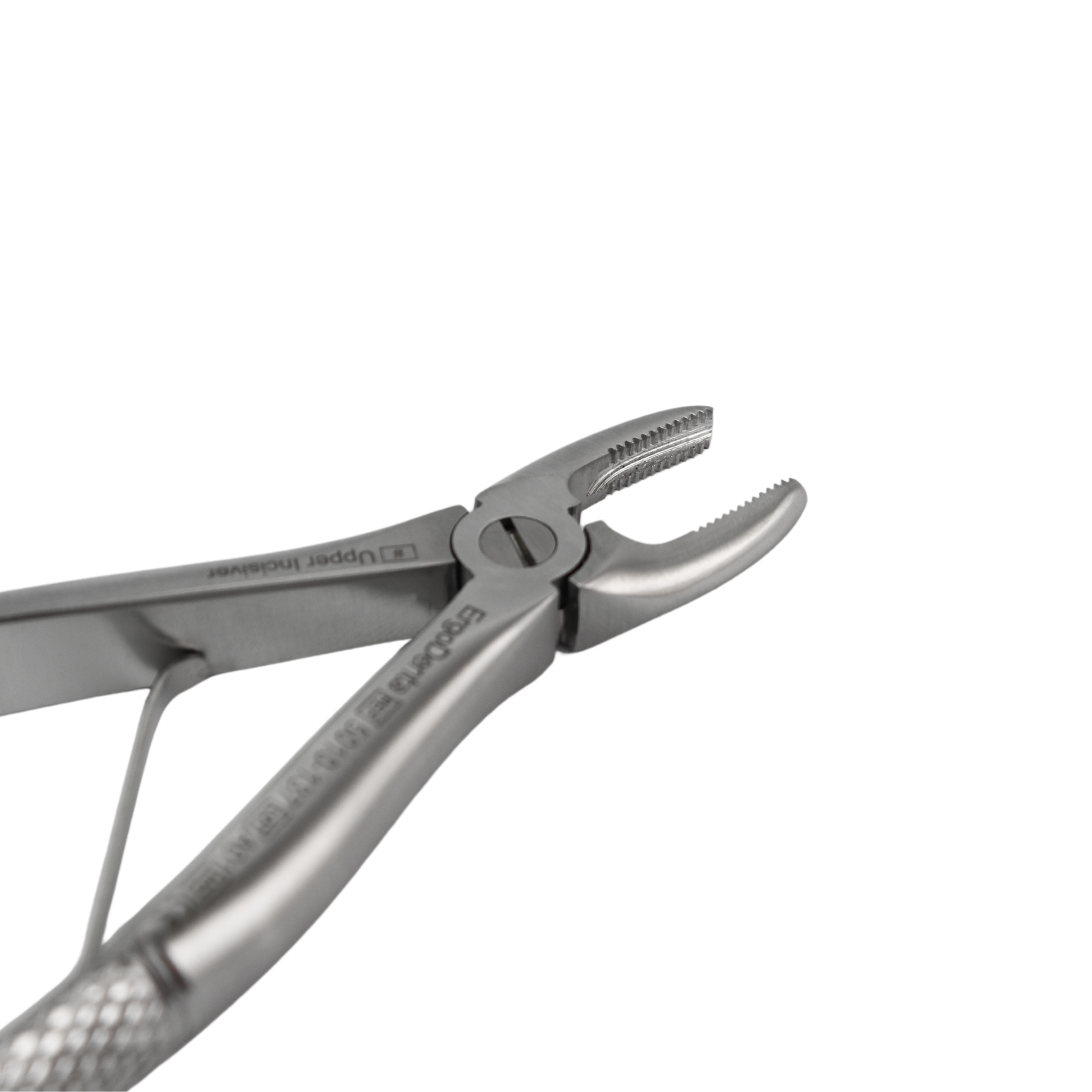 Fig. 137, Upper Incisor - 3