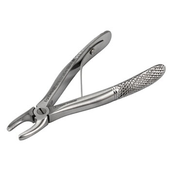 Fig. 137, Upper Incisor
