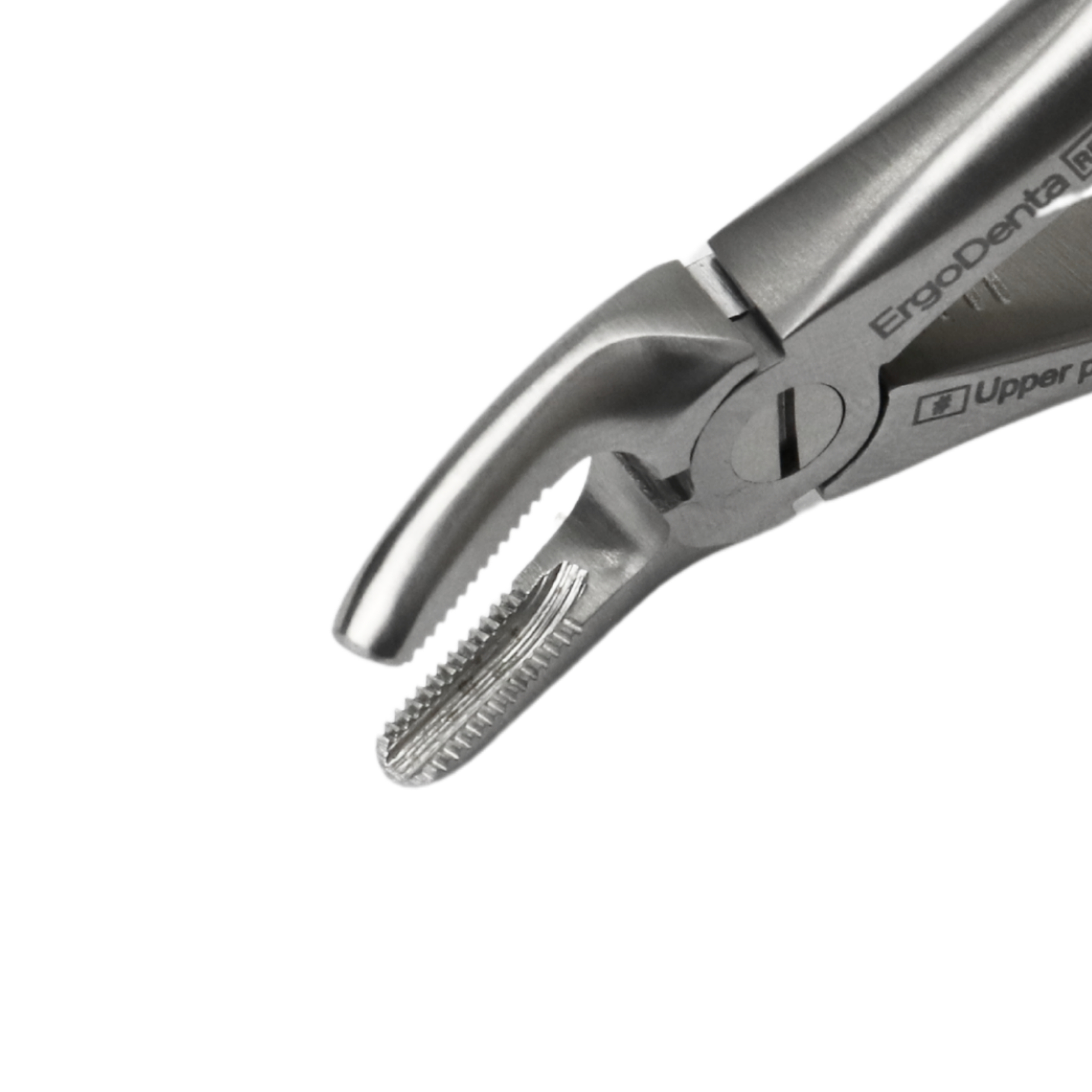 Fig. 139, Upper Pre Molar - 3