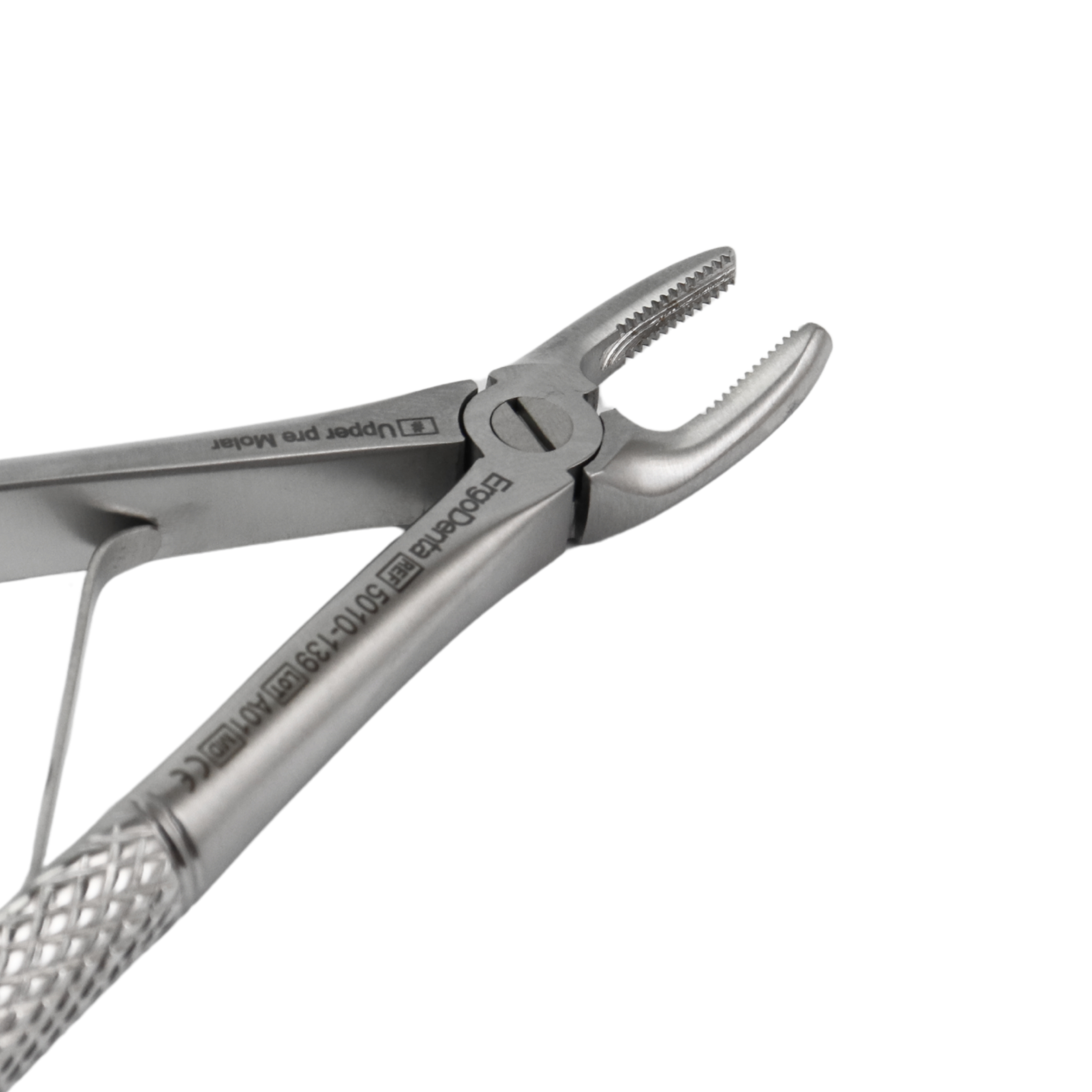 Fig. 139, Upper Pre Molar - 4