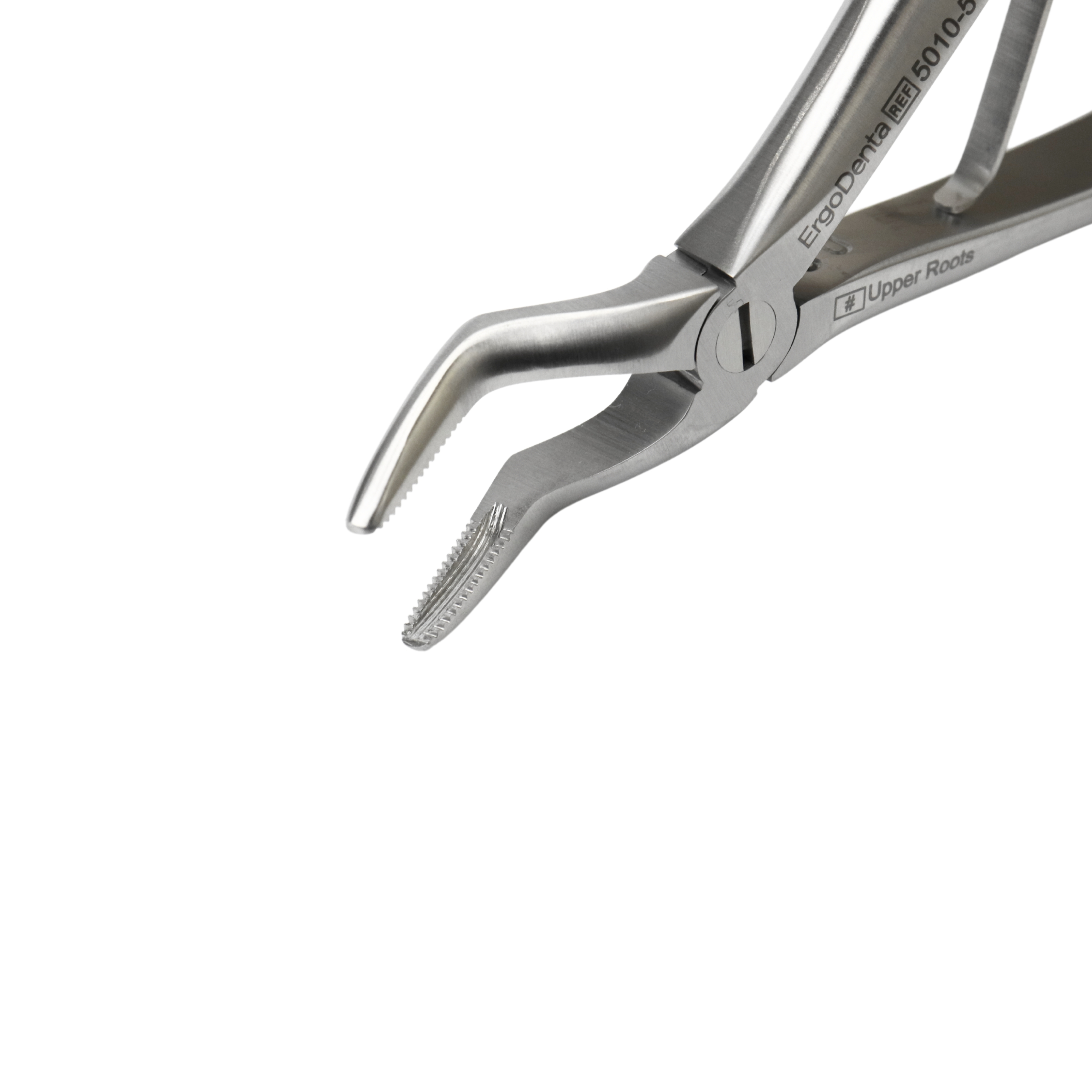 Fig. 51S, Upper Roots - 4