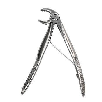 Fig. 6, Lower Molar