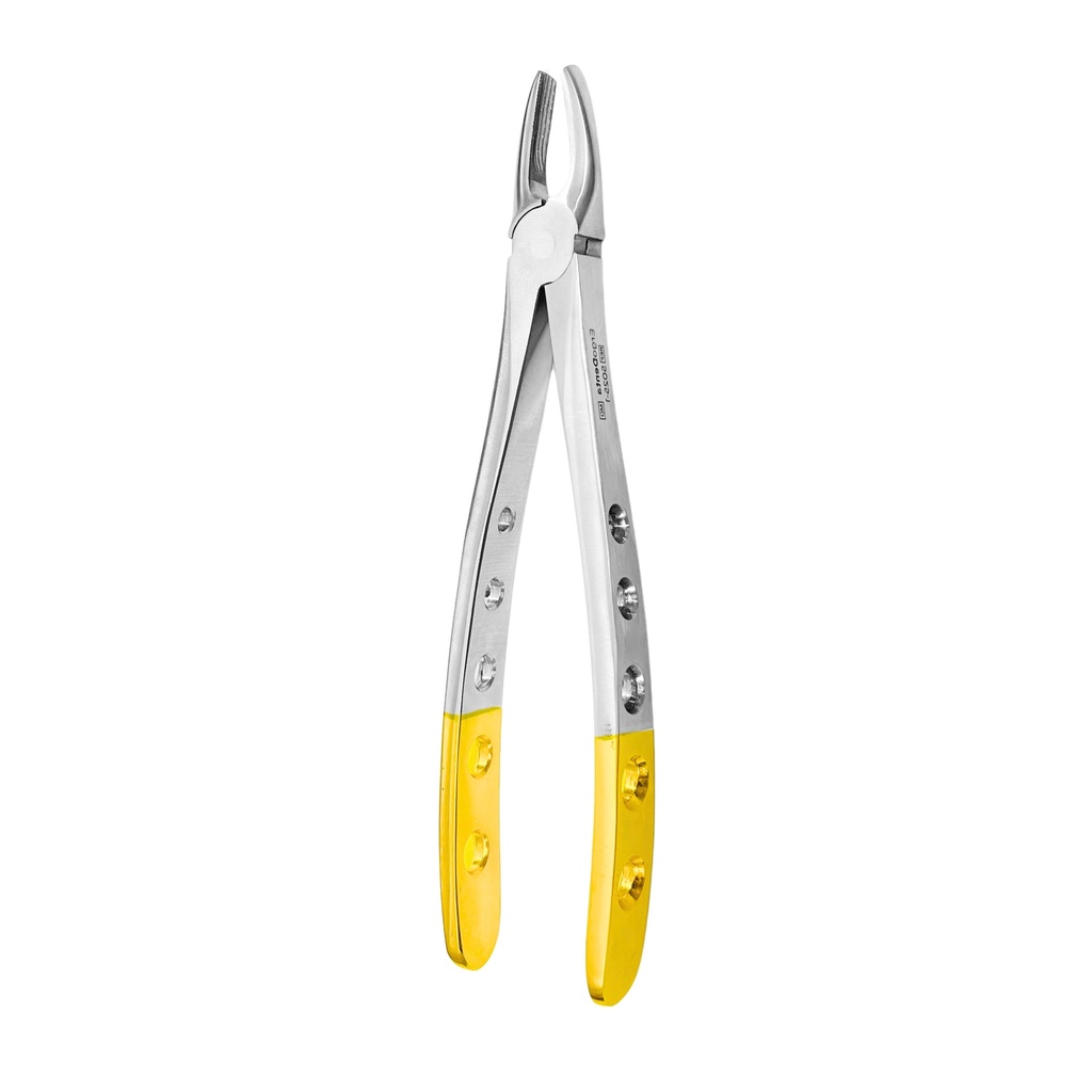 Fig. 1. Upper Incisors And Molars