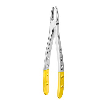 Fig. 1. Upper Incisors And Molars