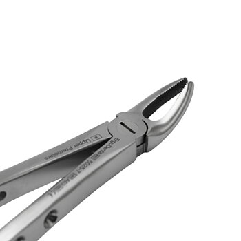 Fig. 7. Upper Premolars