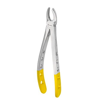 Fig. 18. Upper Molars, Left