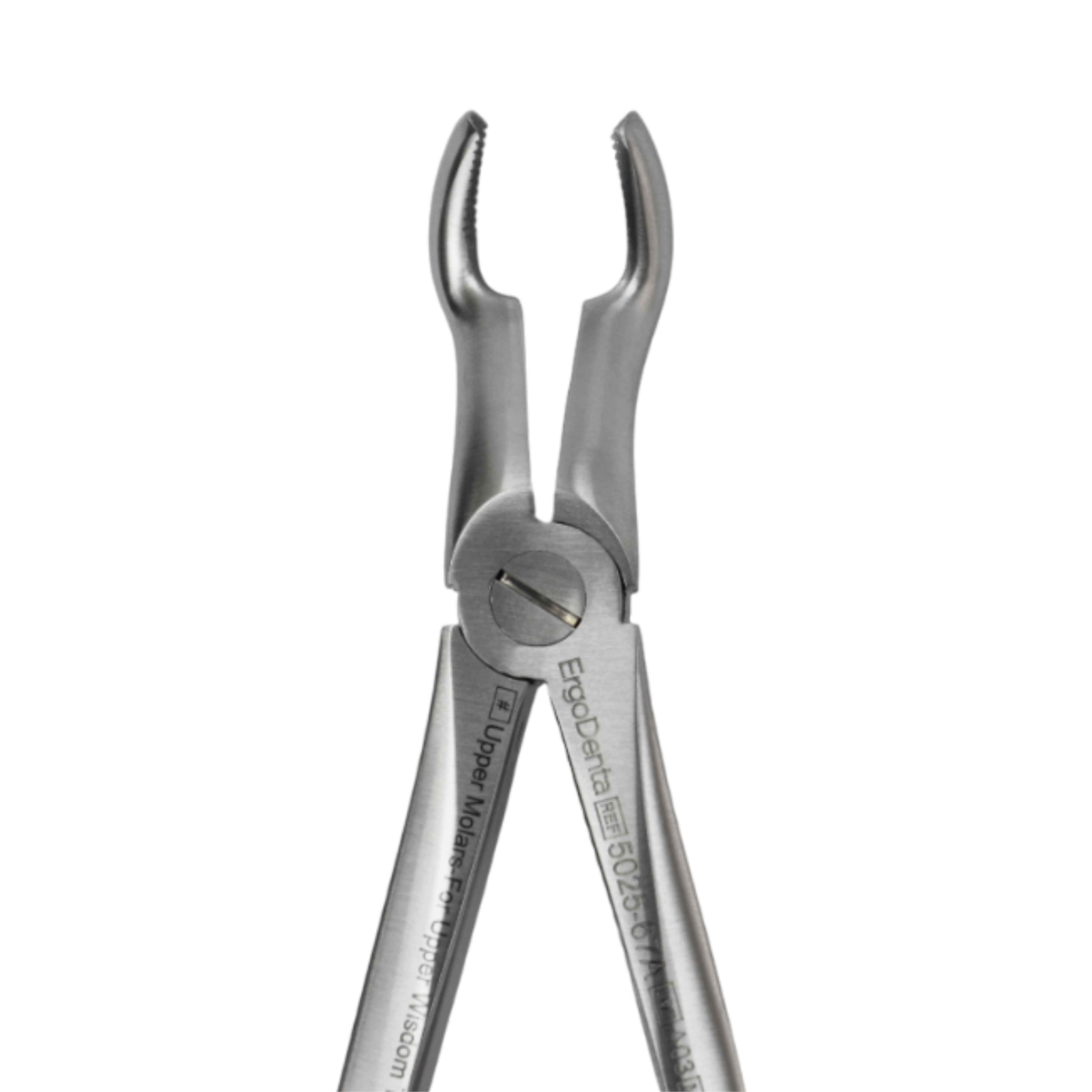 Fig. 67A. Upper Molars-For Upper Wisdom Teeth - 3