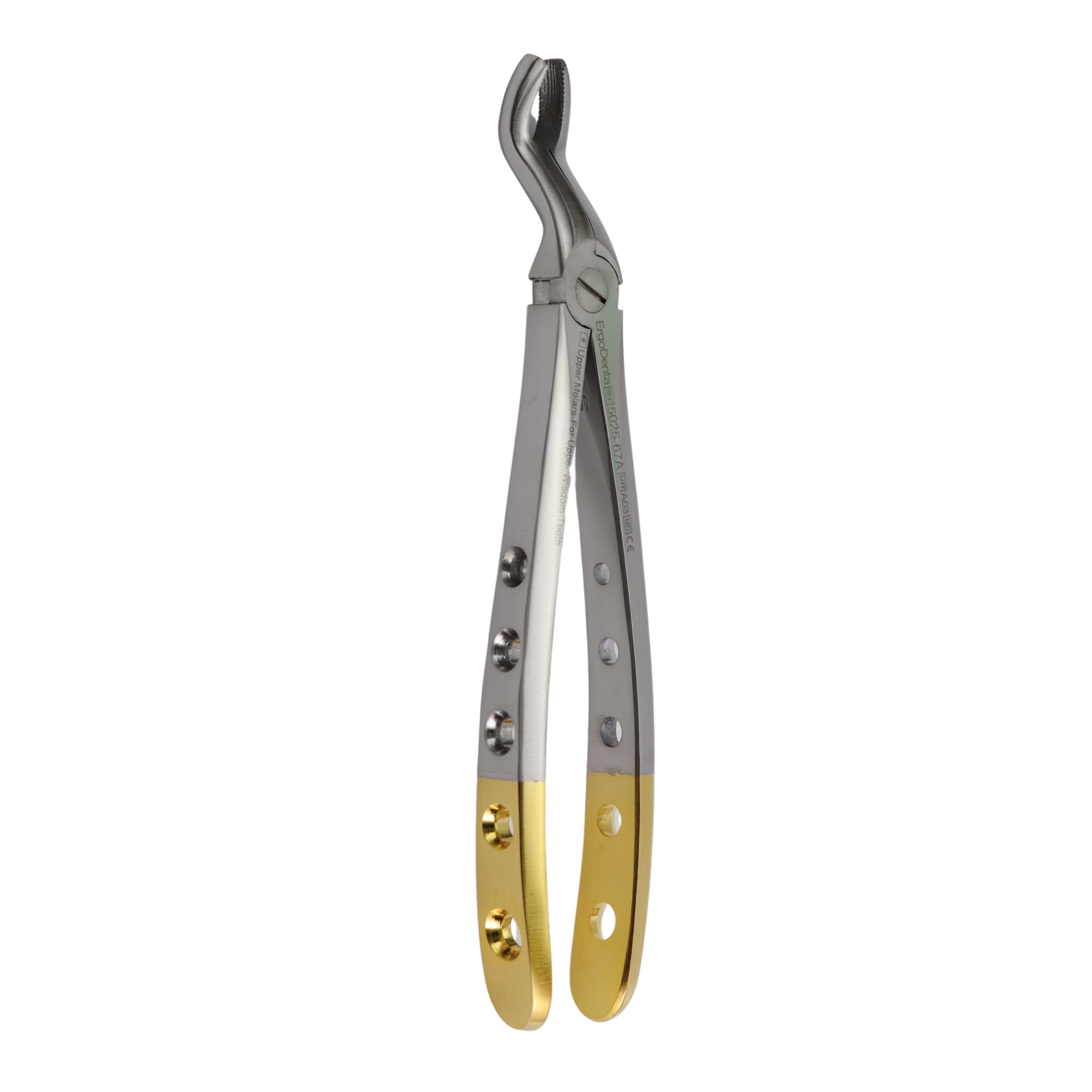 Fig. 67A. Upper Molars-For Upper Wisdom Teeth