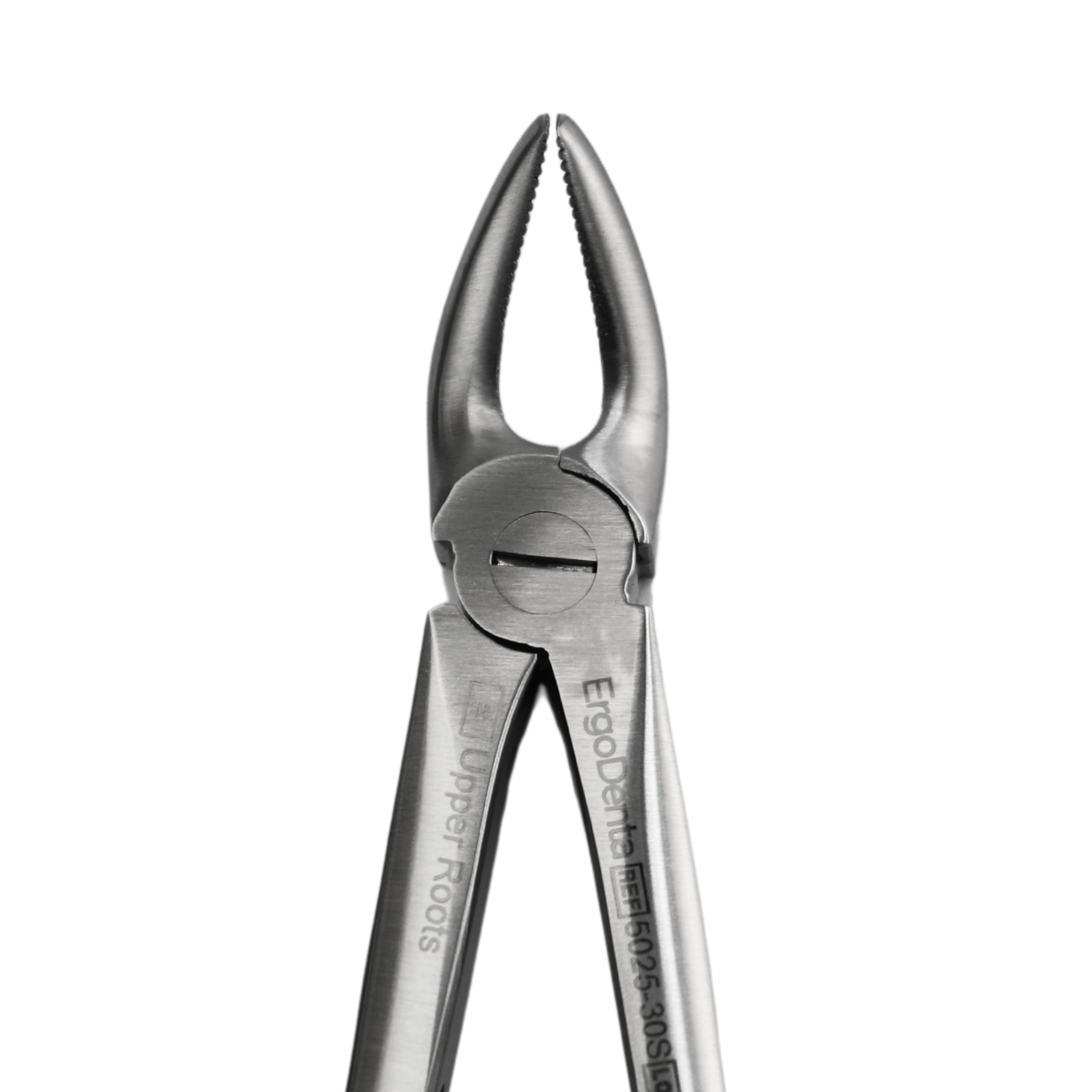 Fig. 30S. Upper Front - 4