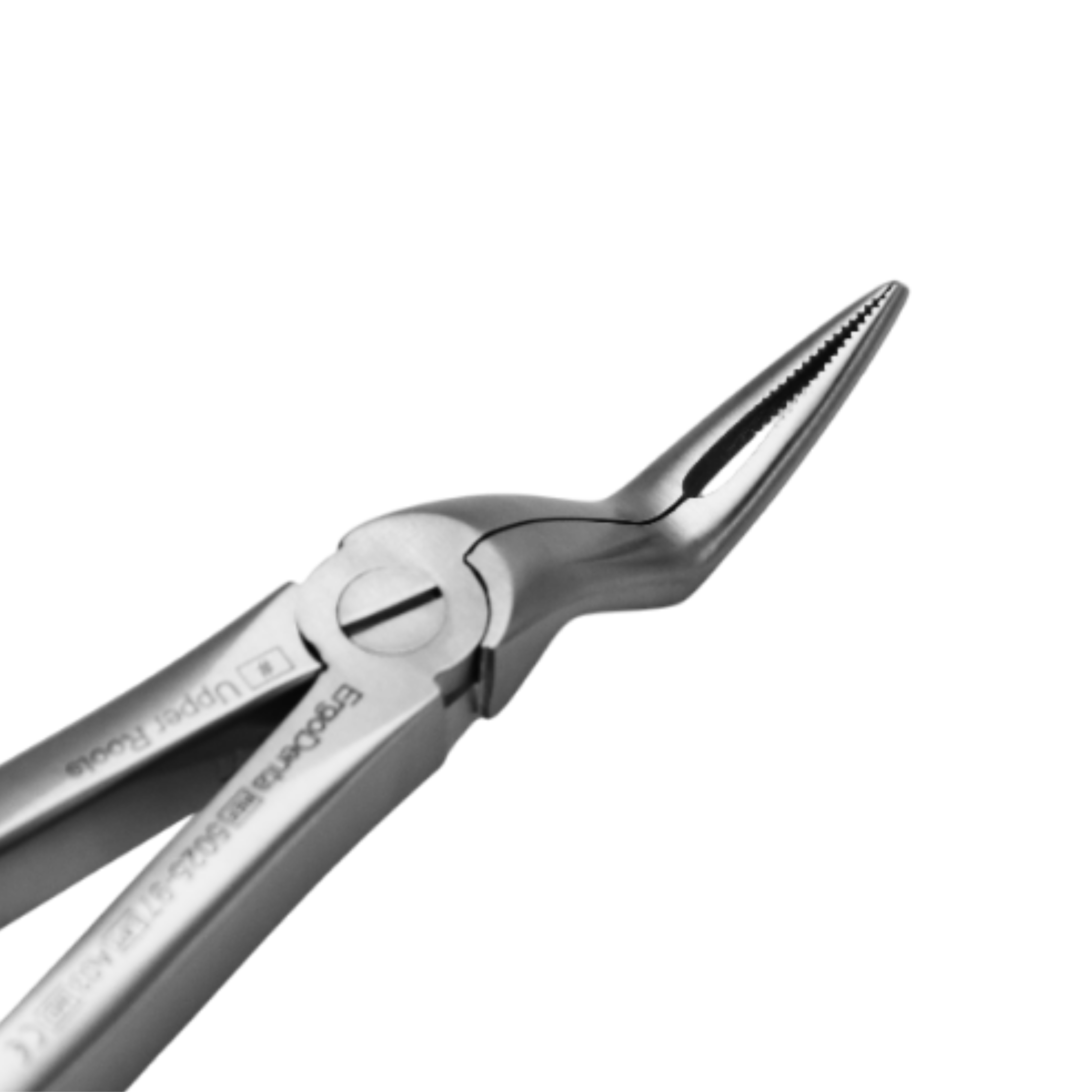 Fig. 97. Upper Roots - 3