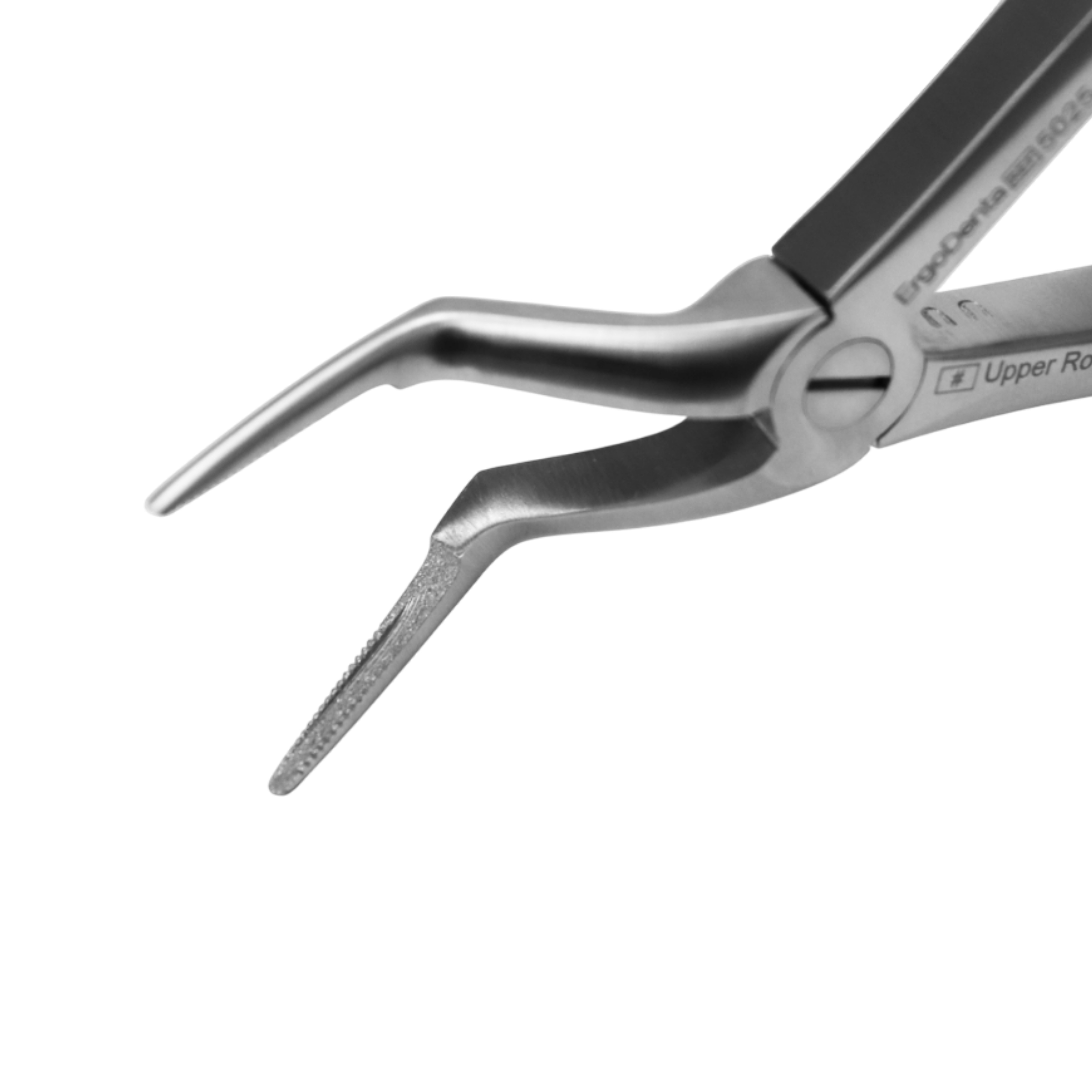 Fig. 97. Upper Roots - 2