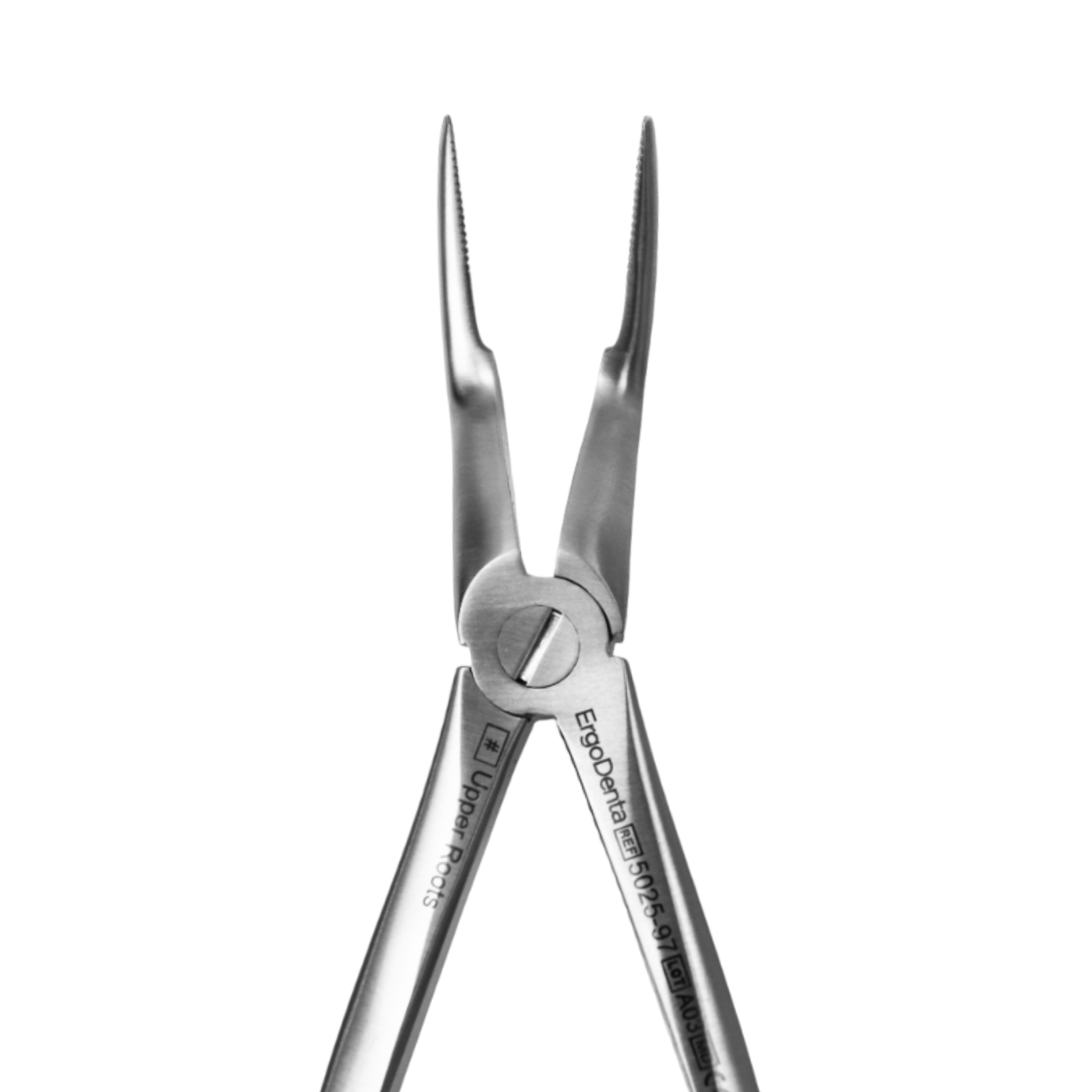 Fig. 97. Upper Roots - 4