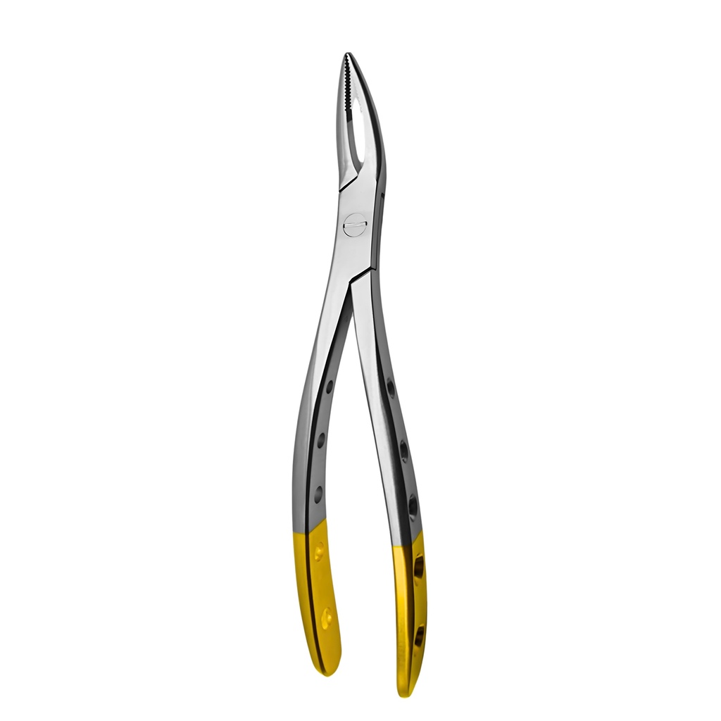 Fig. 98. Witzel (Upper roots)