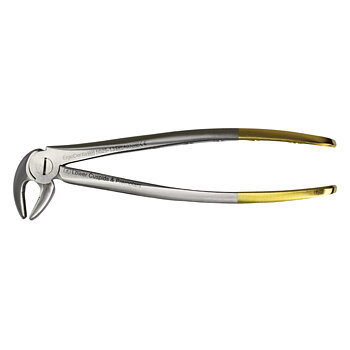 Fig. 13. Lower Cuspids And Premolars