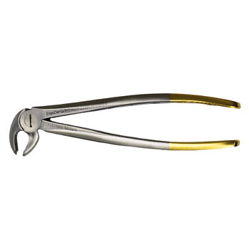 Fig. 22. Lower Molars
