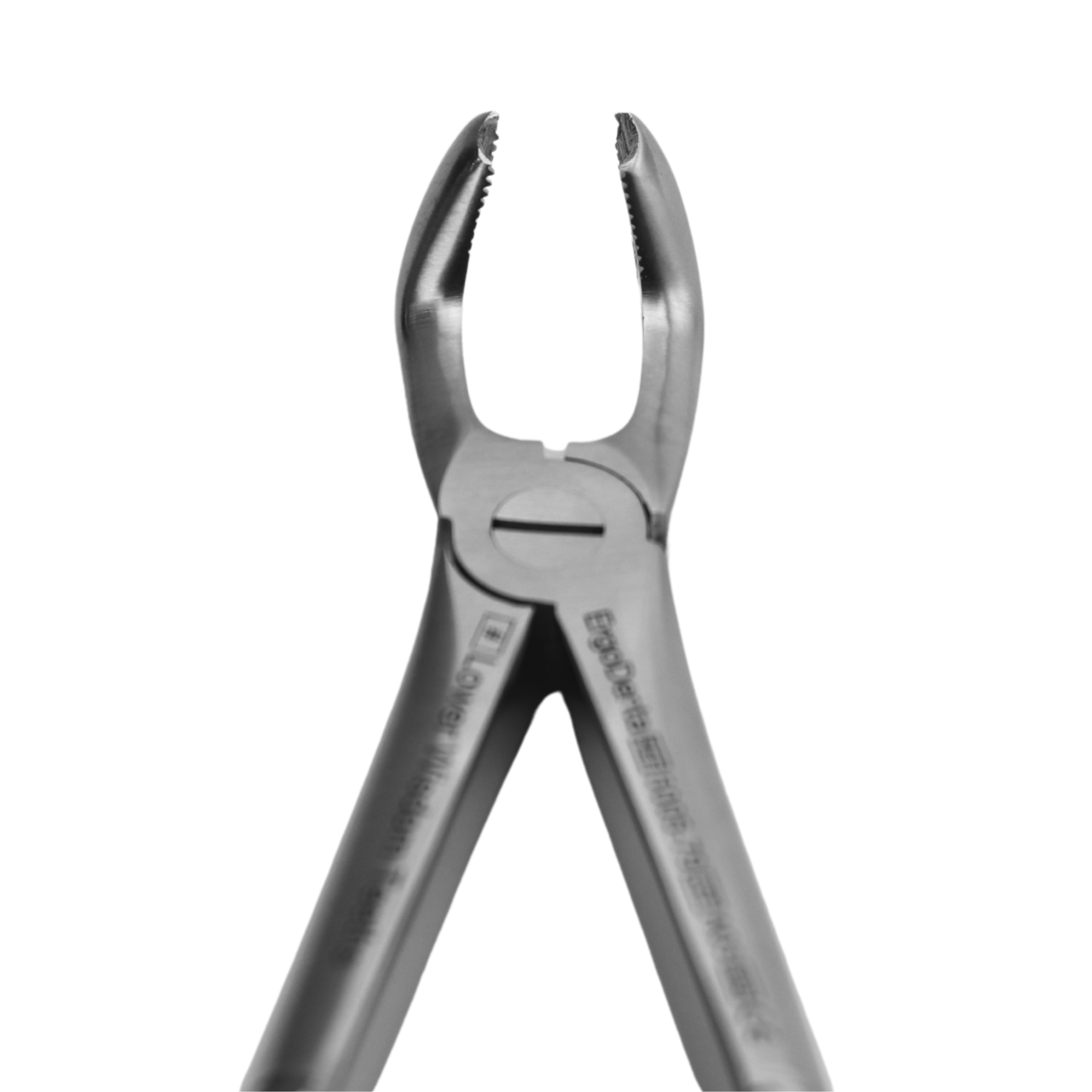 Fig. 79. Lower Wisdom Teeths - 4