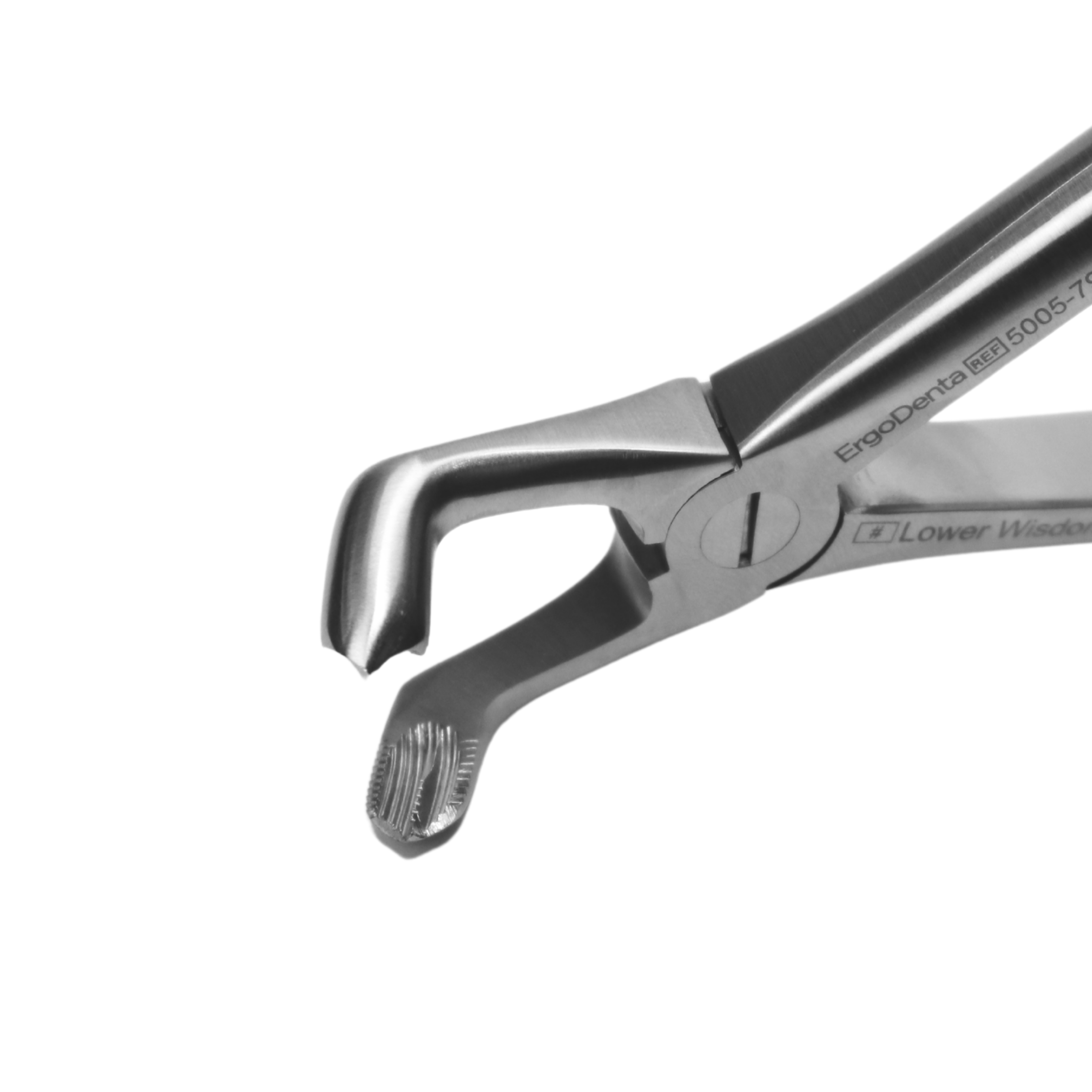 Fig. 79. Lower Wisdom Teeths - 3