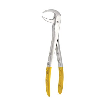 Fig. 86A. Lower Molars