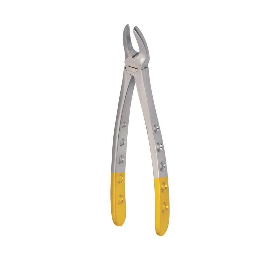 Fig. 99. Hertz (Lower Molars)