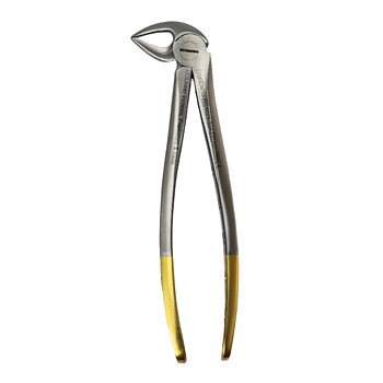 Fig. 33A. Lower Incisors, Premolars And Roots