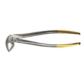 Fig. 33A. Lower Incisors, Premolars And Roots