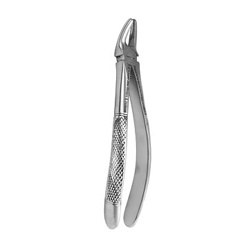 Fig. 7 Upper Jaw-Molars & Incisors