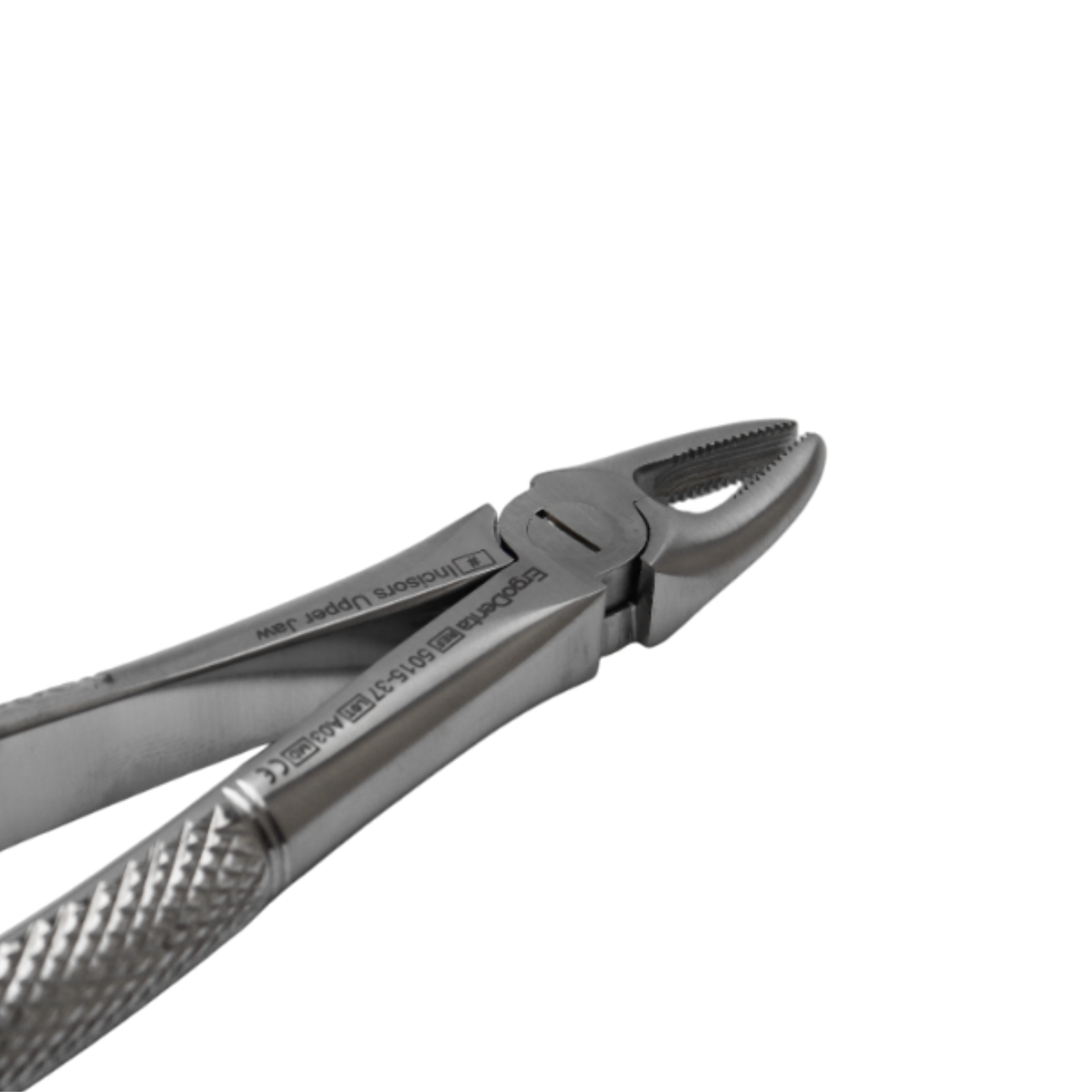 Fig. 37 Incisors, Upper Jaw - 2
