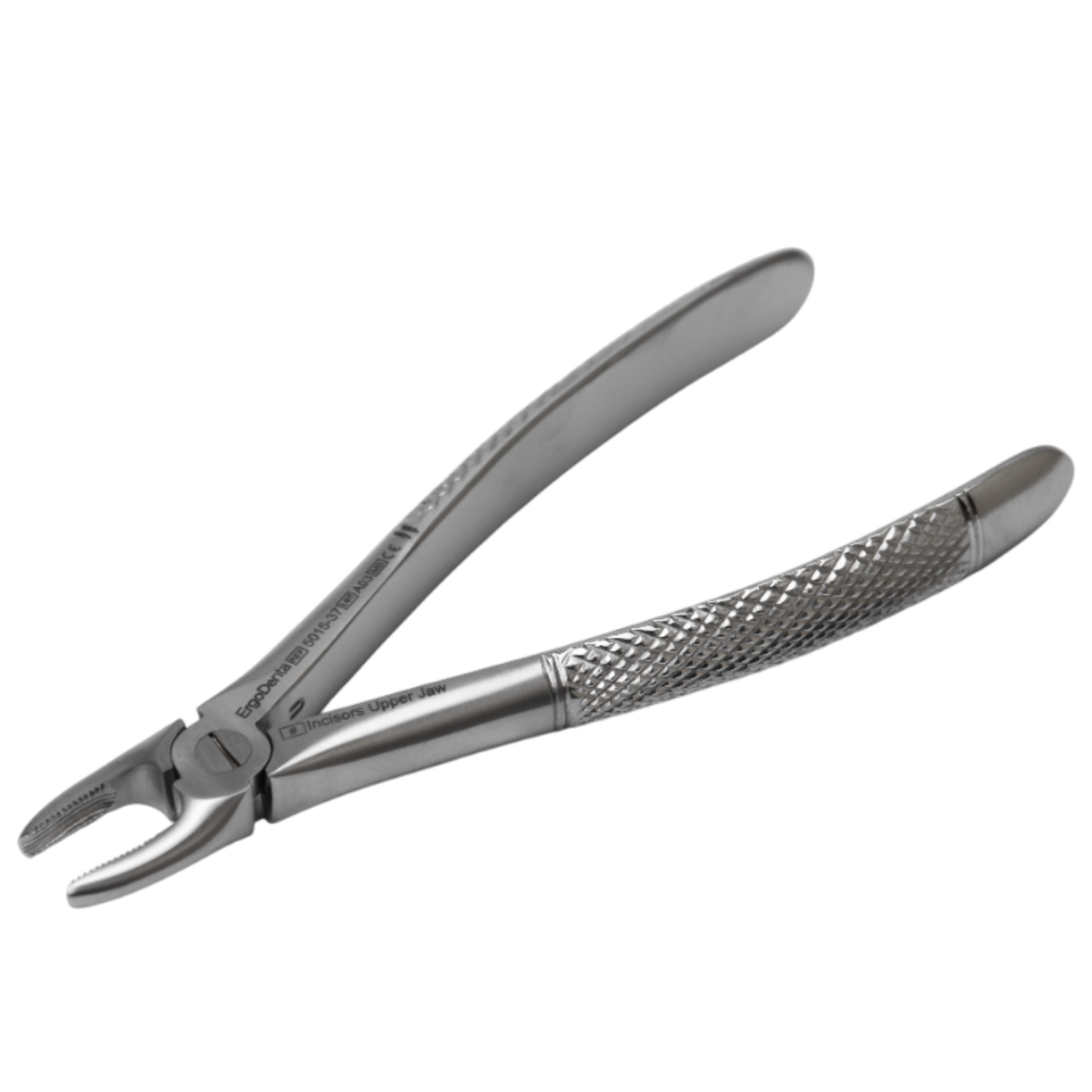 Fig. 37 Incisors, Upper Jaw - 3