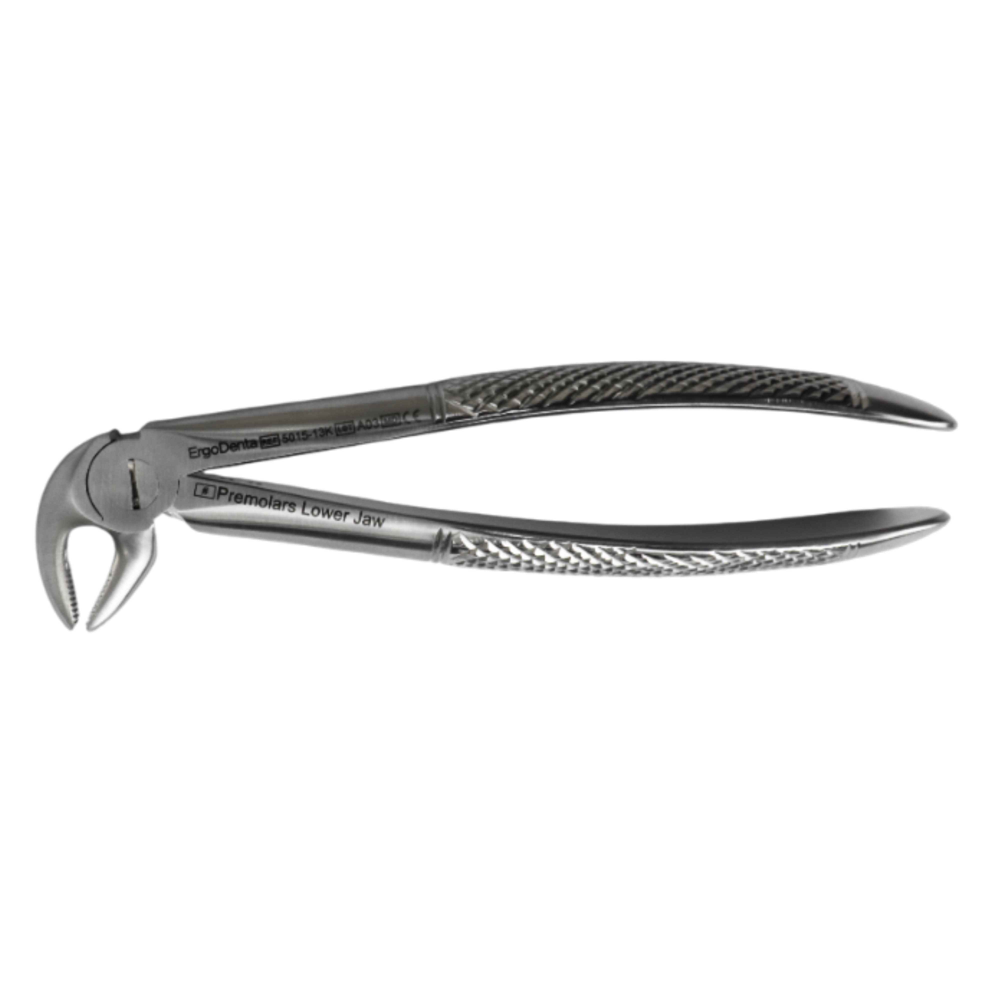 Fig. 13K Premolars, Lower Jaw - 2
