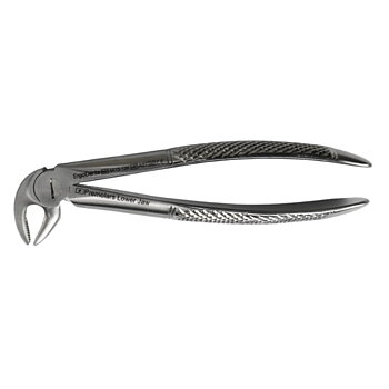 Fig. 13K Premolars, Lower Jaw